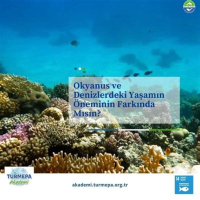  Xusoria!  Bu Küçük Sığ Su Kabuklusu Güney Denizleri Yeraltında Hayat Kurmayı Seçti mi?